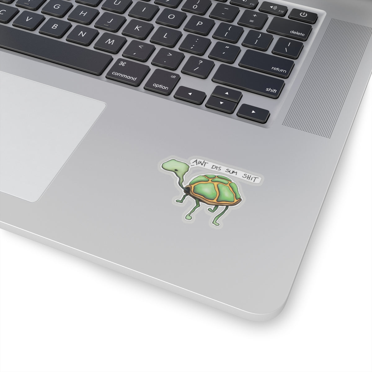 "Dang Turts" Graphic Sticker