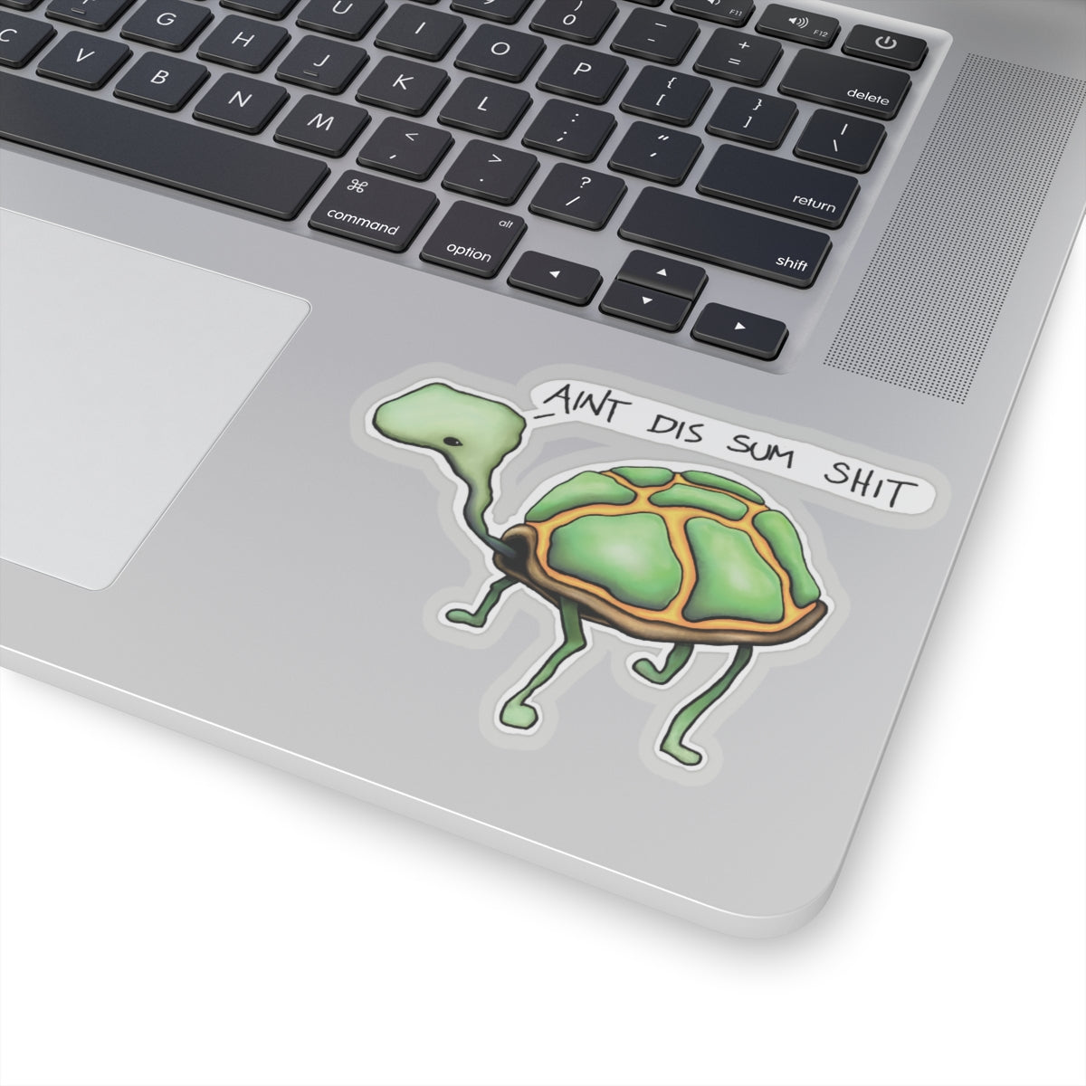 "Dang Turts" Graphic Sticker